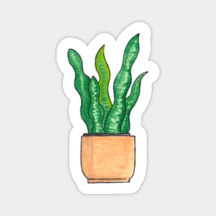 Snake Plant / Mother in Laws Tongue - House Plant Watercolour Magnet