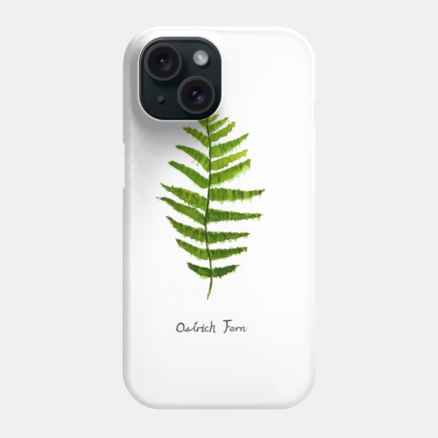 Ostrich fern watercolor Phone Case by colorandcolor