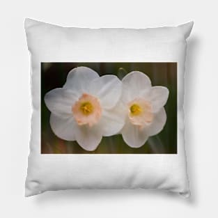 Daffodils 12 Pillow