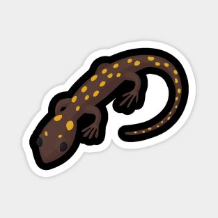 Lizard Salamander Gecko Magnet