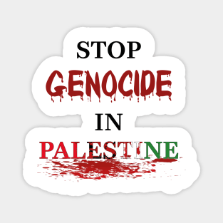 Palestine Stop genocide Magnet