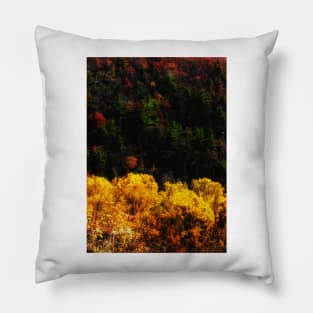 Autumn Contrast Pillow