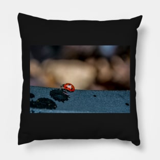 Ladybird Pillow