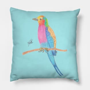 Lilac-breasted roller Pillow