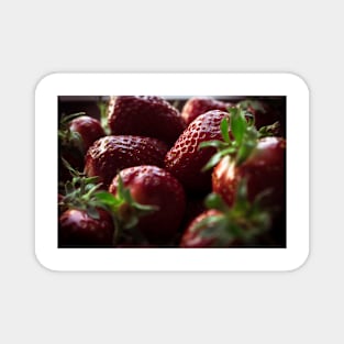 Strawberries Magnet