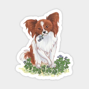 Papillon and Clover Magnet