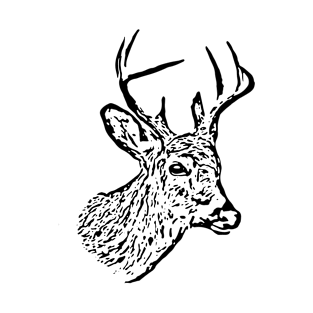 Deer T-Shirt