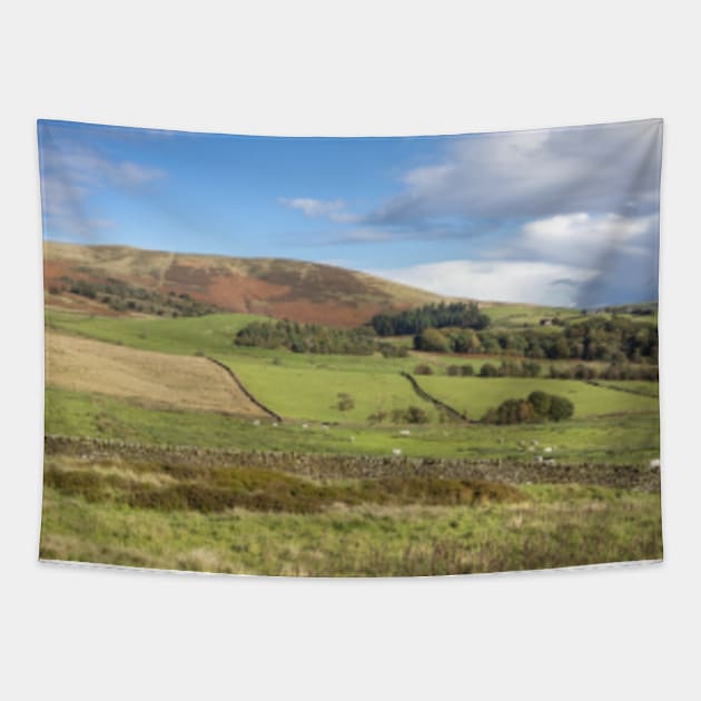 Clitheroe Farmland Tapestry by Femaleform