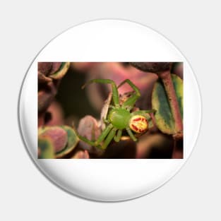 Green Jumping Spider Pin