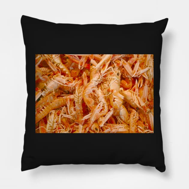 Shellfish Galore Pillow by AlexaZari