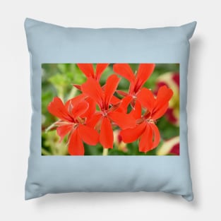 Ivy-leaved Pelargonium Pillow