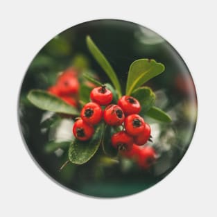 Berries Pin