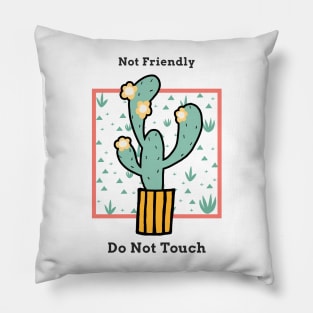 Not Friendly Do Not Touch Pillow