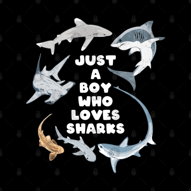 Just a Boy who loves Sharks by NicGrayTees