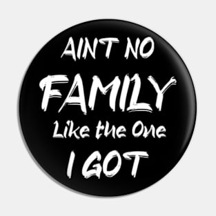 Aint No Family Like the One I Got Pin