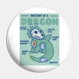 Anatomy of a Dragon Pin