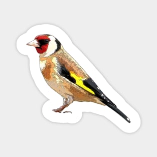 Goldfinch Magnet