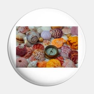 Traveling Compass And Seashells Pin