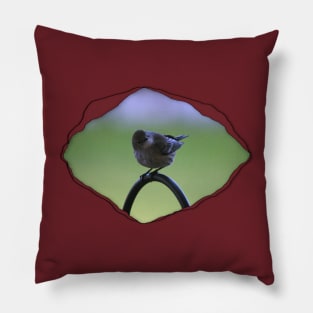 Warbler Perched Popping from Torn Material Pillow