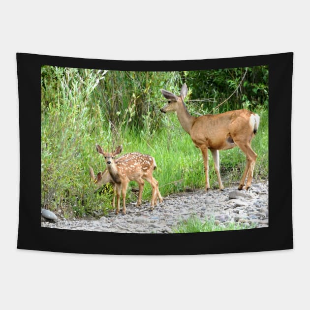 Baby Deer Tapestry by Scubagirlamy