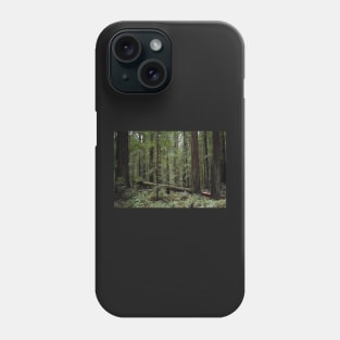 California Redwoods Phone Case