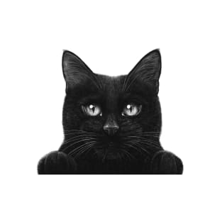 Peeping black cat with paws T-Shirt