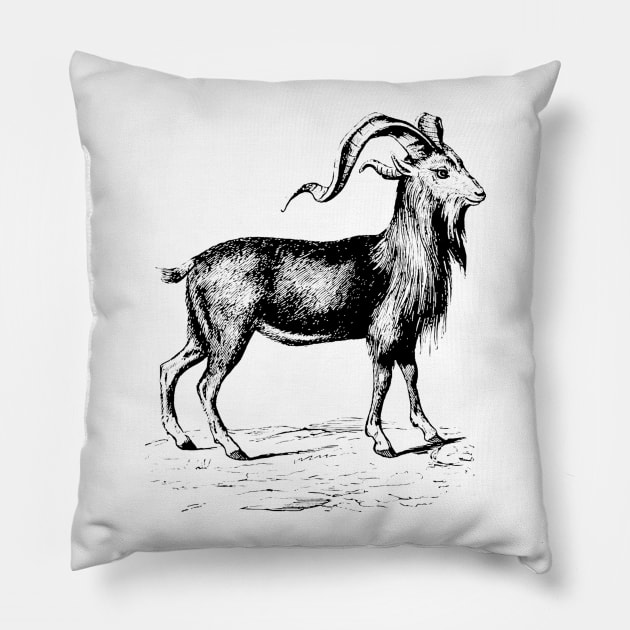 Ram Nature Drawing Pillow by KnuckleTonic