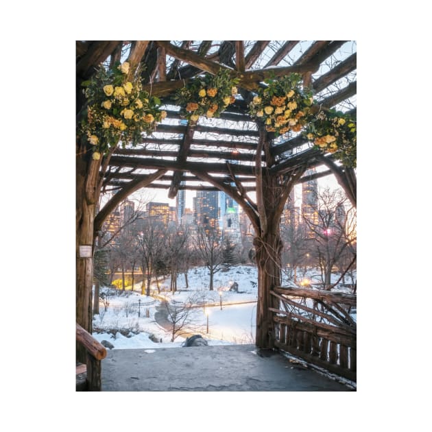 Central Park Winter by igjustin