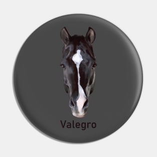 Valegro Face Marking with Name Pin
