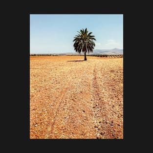 A Palm Tree Standing Alone on Dry Field T-Shirt