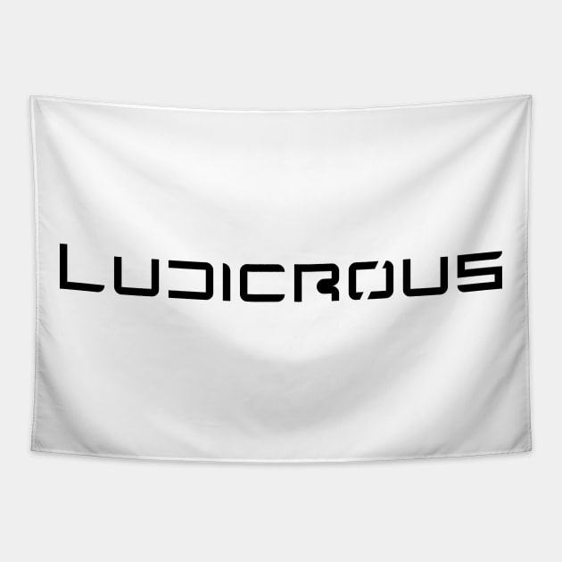 Ludicrous Mode Tapestry by Shannon Marie