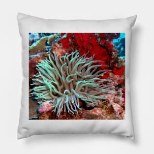 Giant Green Sea Anemone feeding near Red Coral Reef Wall Pillow