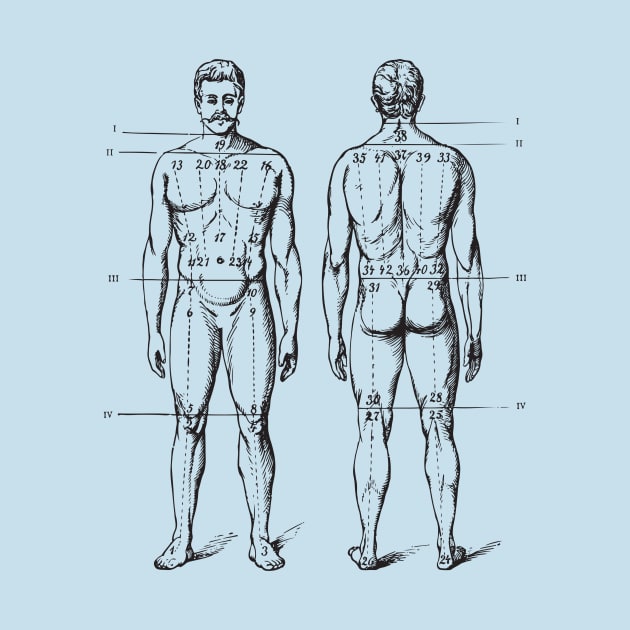 Anatomy body by chapter2