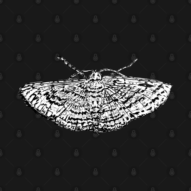 The Moth by TRJ NOLA