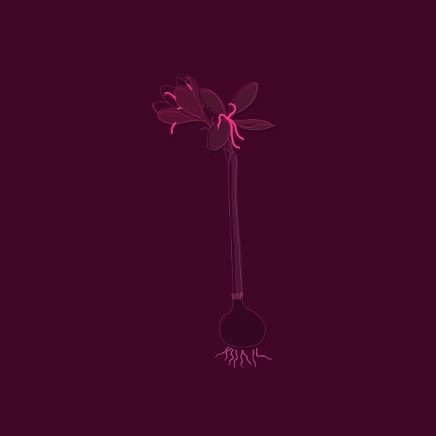 Saffron crocus purple by Hayh0