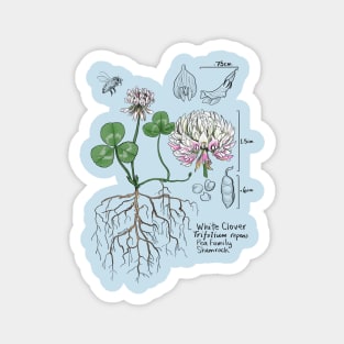 White Clover Botanical - tan Magnet