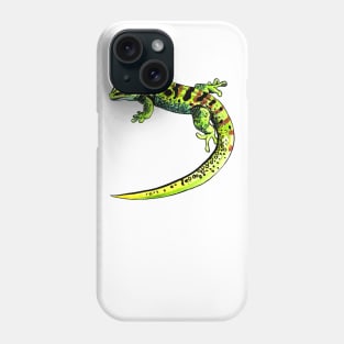 gecko Phelsuma Phone Case