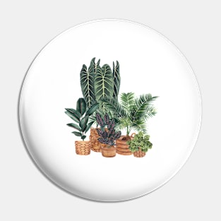 House Plants Illustration 10 Pin
