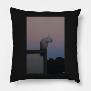 Morning Melancholy Pillow