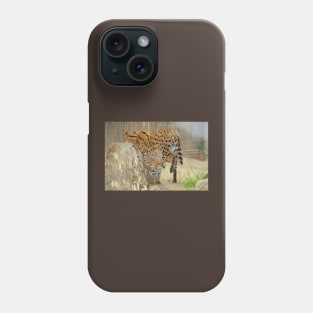 Serval Cat & Male Kitten Phone Case