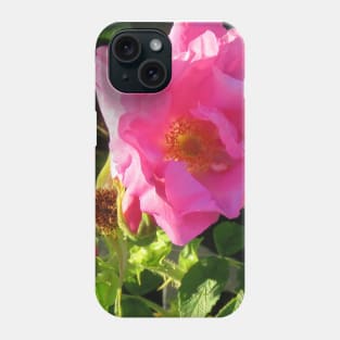 Seaside Pink Rose Phone Case