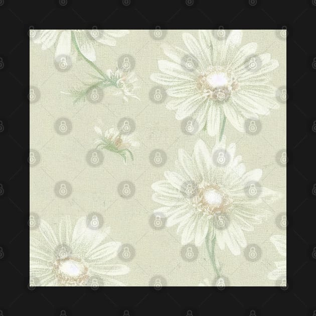 Antique Vintage White Ivory Daisy Floral Illustration by VintageFlorals