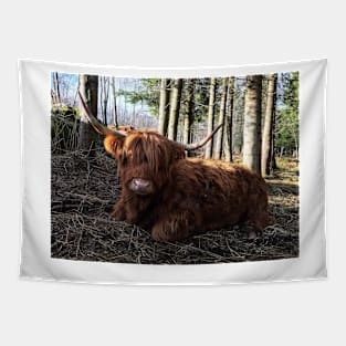 Scottish Highland Cattle Cow 2289 Tapestry