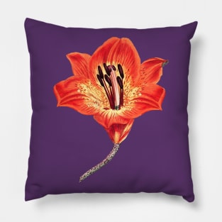 Lily Flower Pillow