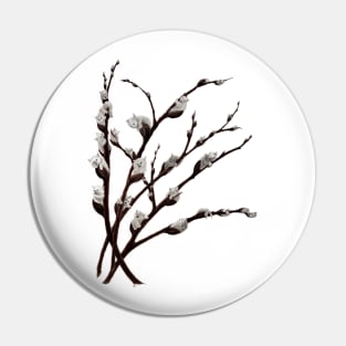 Pussywillow catkins Pin