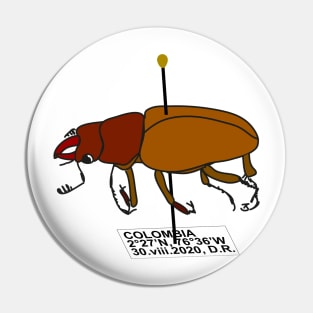 Pinned beetle Pin