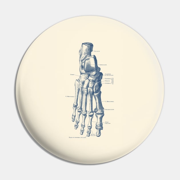 Right Foot Skeletal Diagram - Vintage Anatomy Poster Pin by Vintage Anatomy Prints