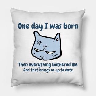 One day I was born. Then everything bothered me. And that brings us up to date. Funny Cat Meme Pillow