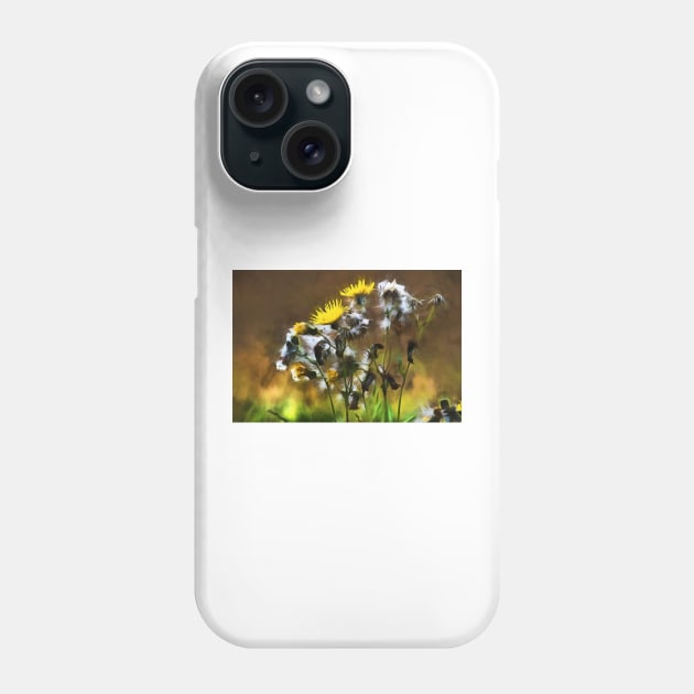 Dandelion Life Cycle with artistic filter Phone Case by Violaman