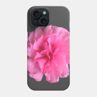 Pink Ranunculus Close-up Pic 2 Phone Case